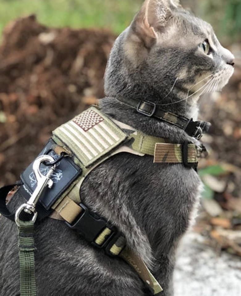 M1 Light Speed Harness - Image 3