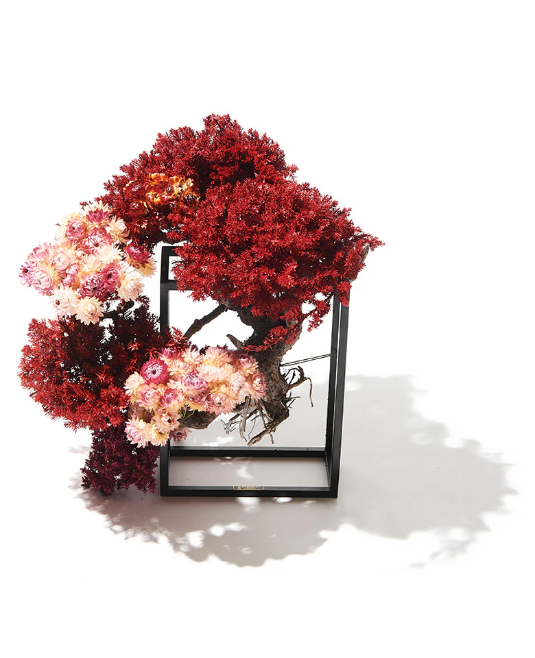RE BONSAI