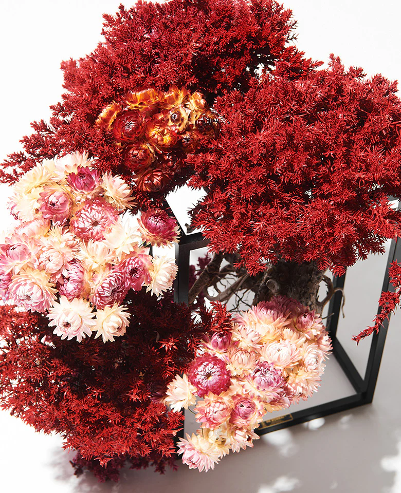 RE BONSAI - Image 2